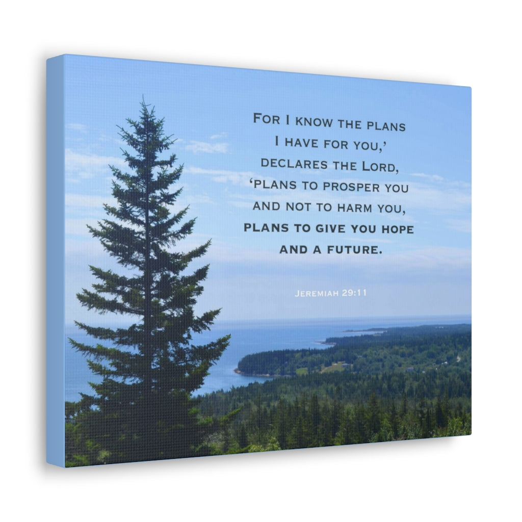 Scripture Walls Plans To Prosper You Jeremiah 29:11 Bible Verse Canvas Christian Wall Art Ready to Hang Unframed-Express Your Love Gifts