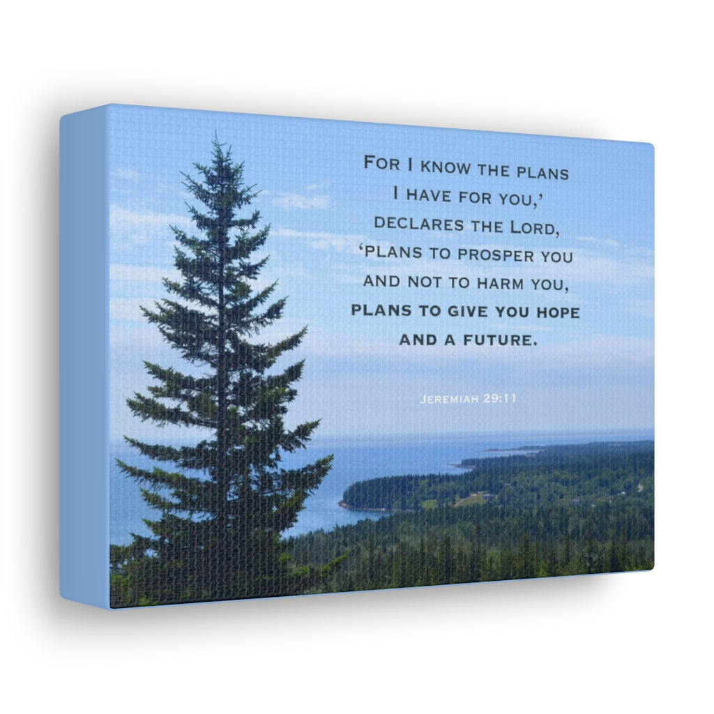 Scripture Walls Plans To Prosper You Jeremiah 29:11 Bible Verse Canvas Christian Wall Art Ready to Hang Unframed-Express Your Love Gifts