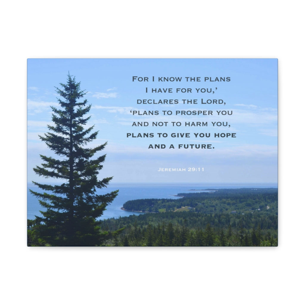 Scripture Walls Plans To Prosper You Jeremiah 29:11 Bible Verse Canvas Christian Wall Art Ready to Hang Unframed-Express Your Love Gifts