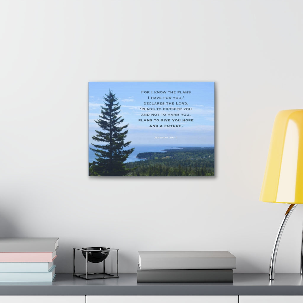 Scripture Walls Plans To Prosper You Jeremiah 29:11 Bible Verse Canvas Christian Wall Art Ready to Hang Unframed-Express Your Love Gifts
