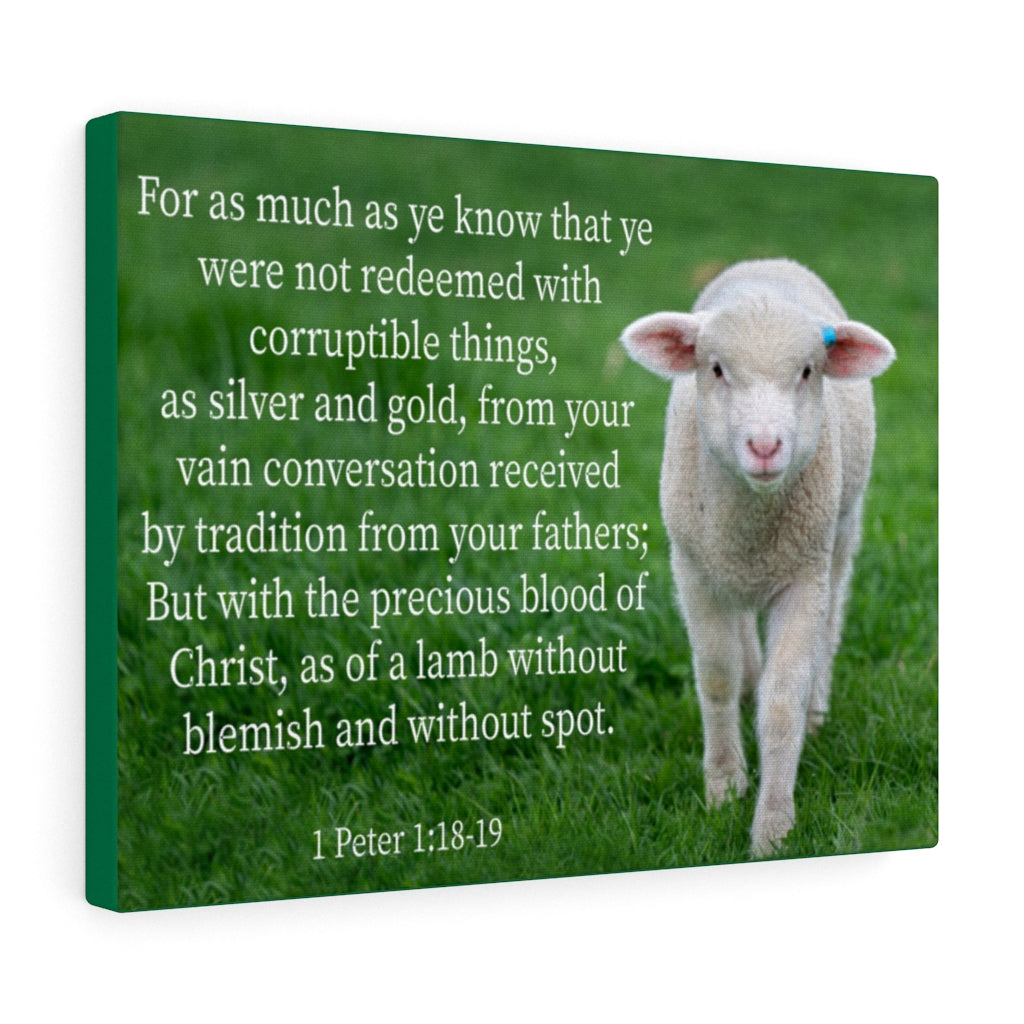 Scripture Walls Precious Blood of Christ 1 Peter 1:18-19 Bible Verse Canvas Christian Wall Art Ready to Hang Unframed-Express Your Love Gifts