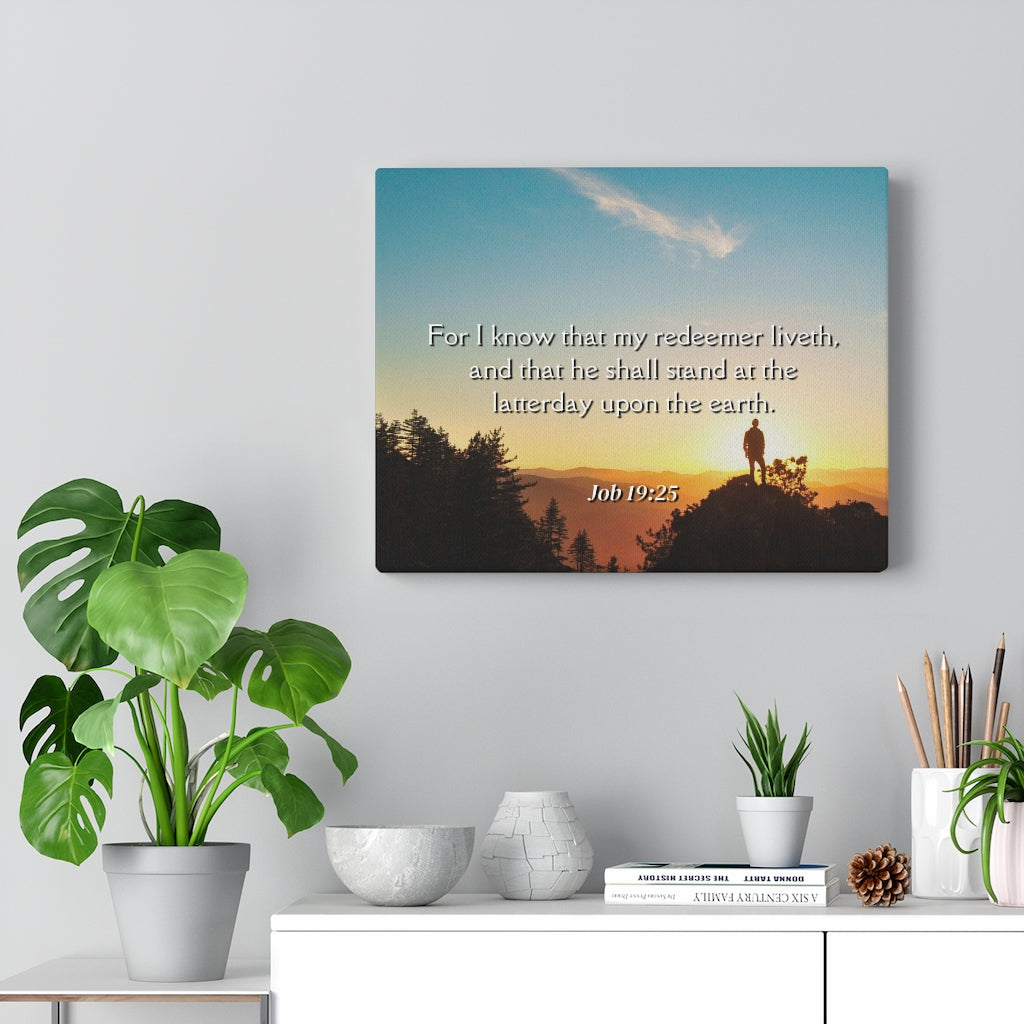 Scripture Walls Redeemer Liveth Job 19:25 Bible Verse Canvas Christian Wall Art Ready to Hang Unframed-Express Your Love Gifts