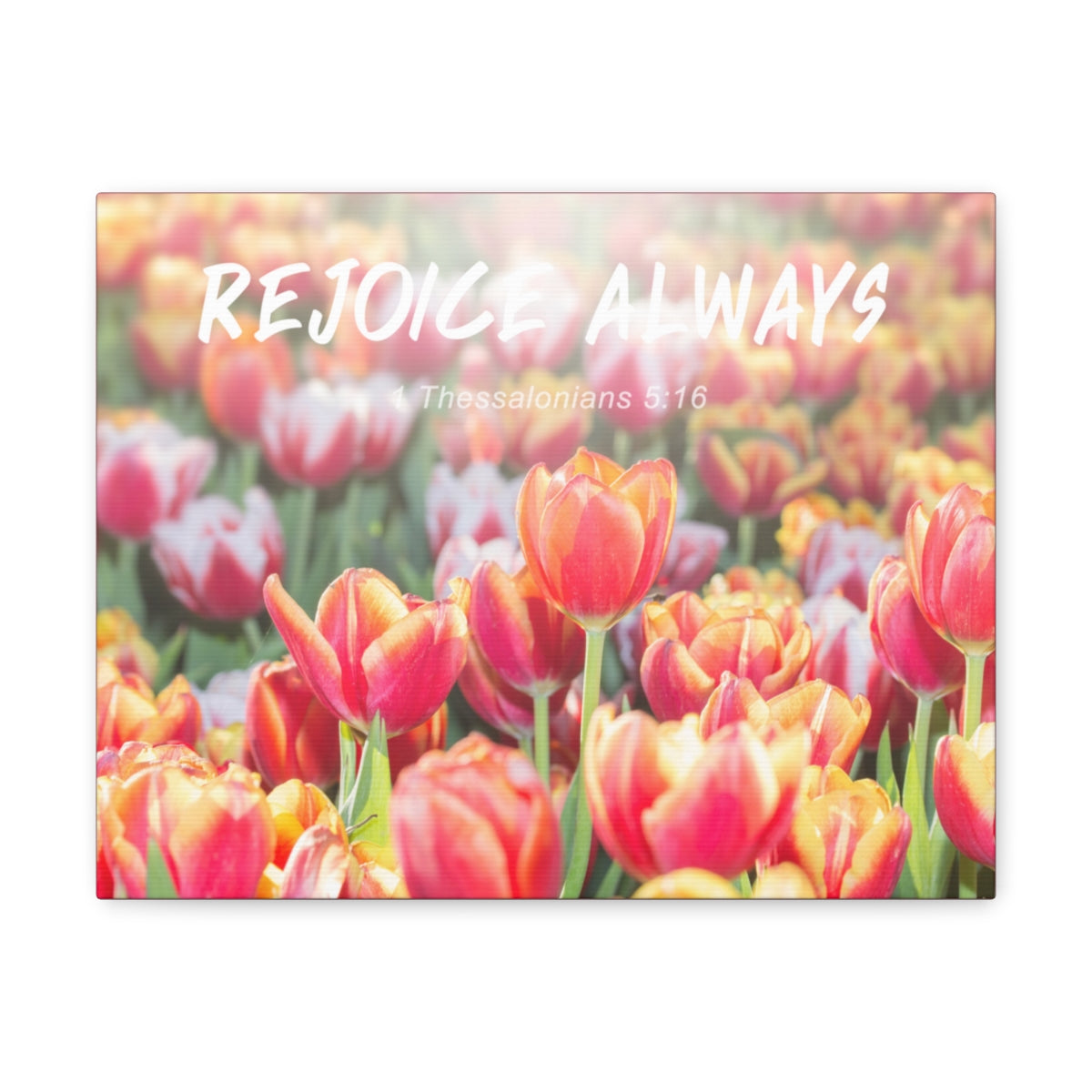 Scripture Walls Rejoice Always 1 Thessalonians 5:16 Bible Verse Canvas Christian Wall Art Bible Verse Print Ready To Hang Unframed-Express Your Love Gifts