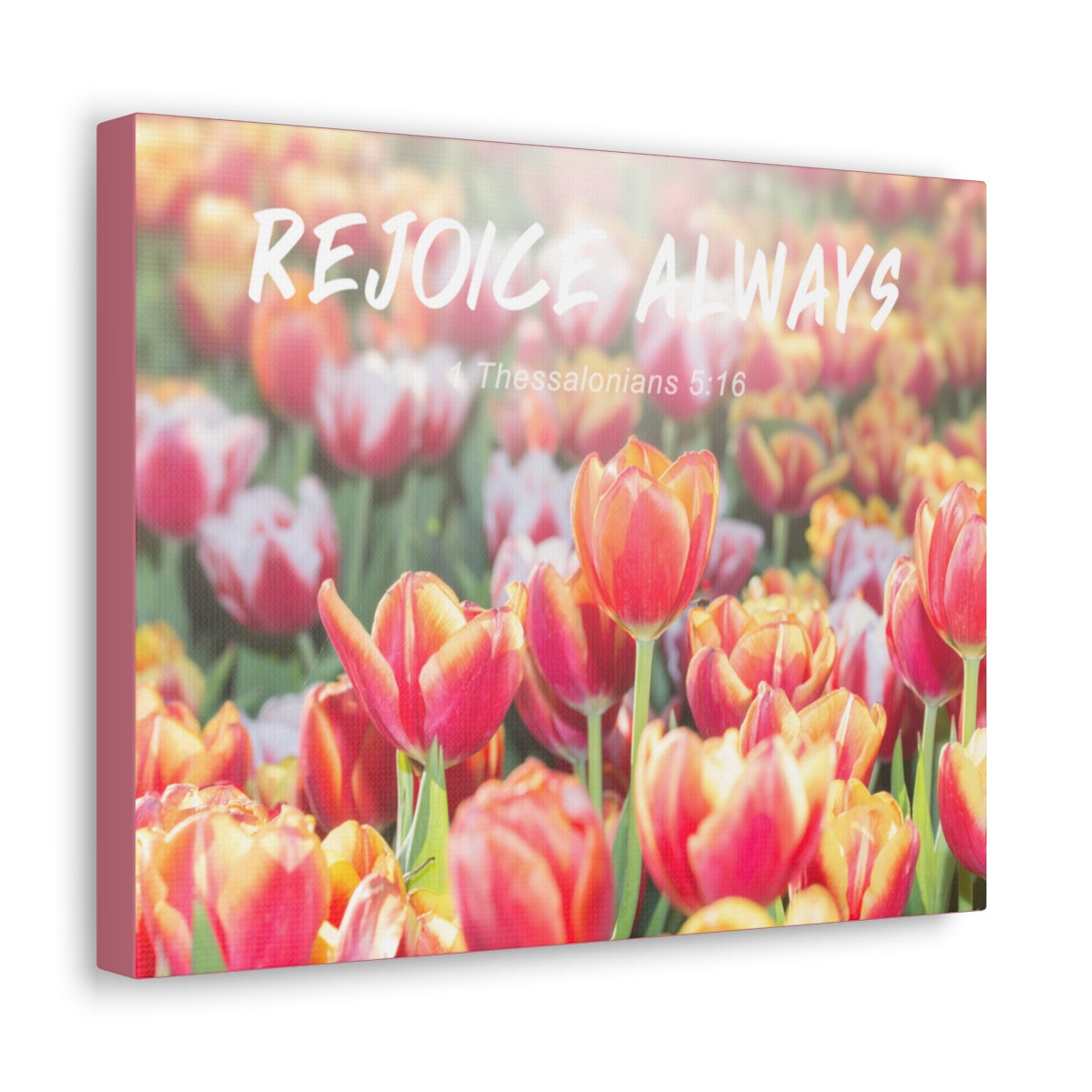 Scripture Walls Rejoice Always 1 Thessalonians 5:16 Bible Verse Canvas Christian Wall Art Bible Verse Print Ready To Hang Unframed-Express Your Love Gifts