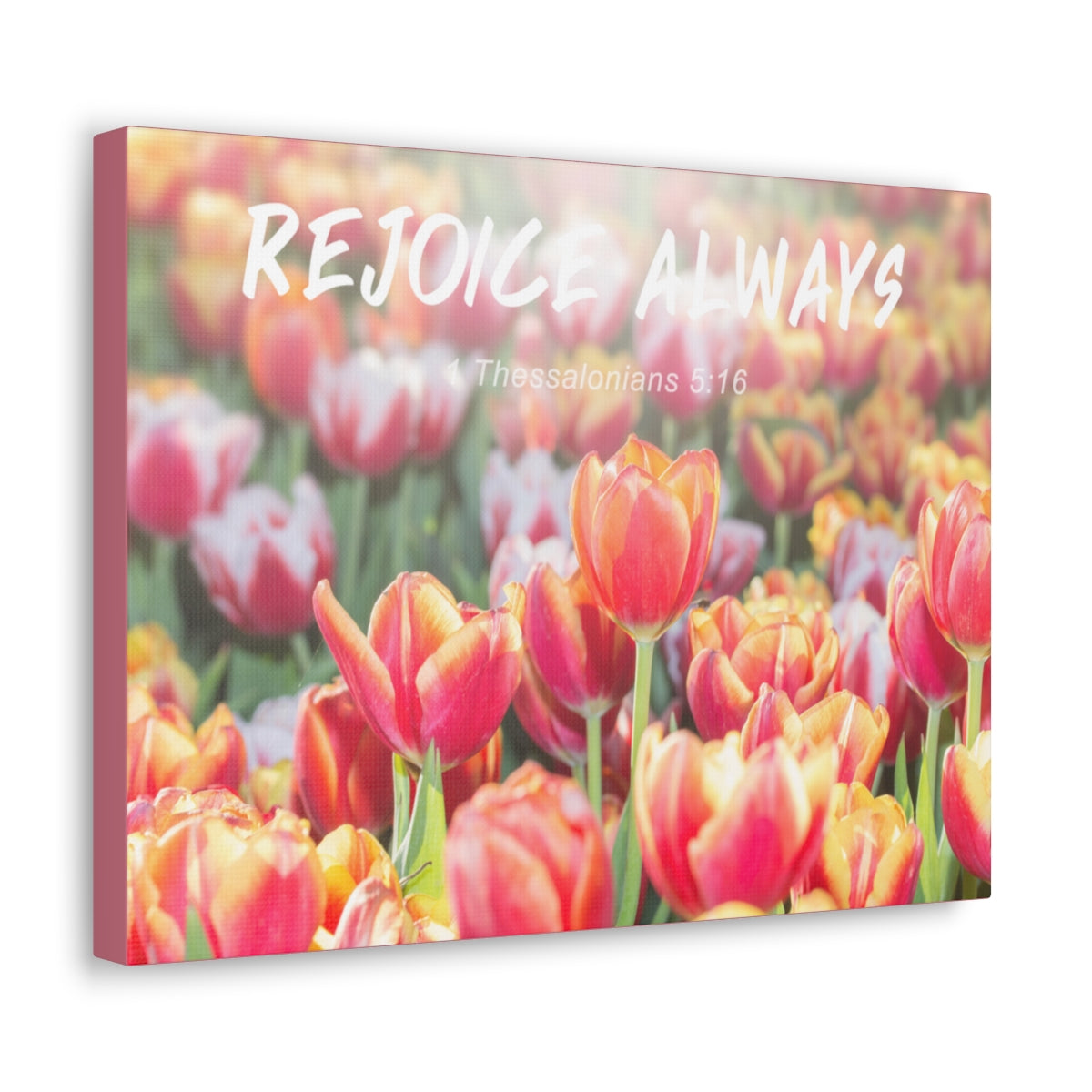 Scripture Walls Rejoice Always 1 Thessalonians 5:16 Bible Verse Canvas Christian Wall Art Bible Verse Print Ready To Hang Unframed-Express Your Love Gifts