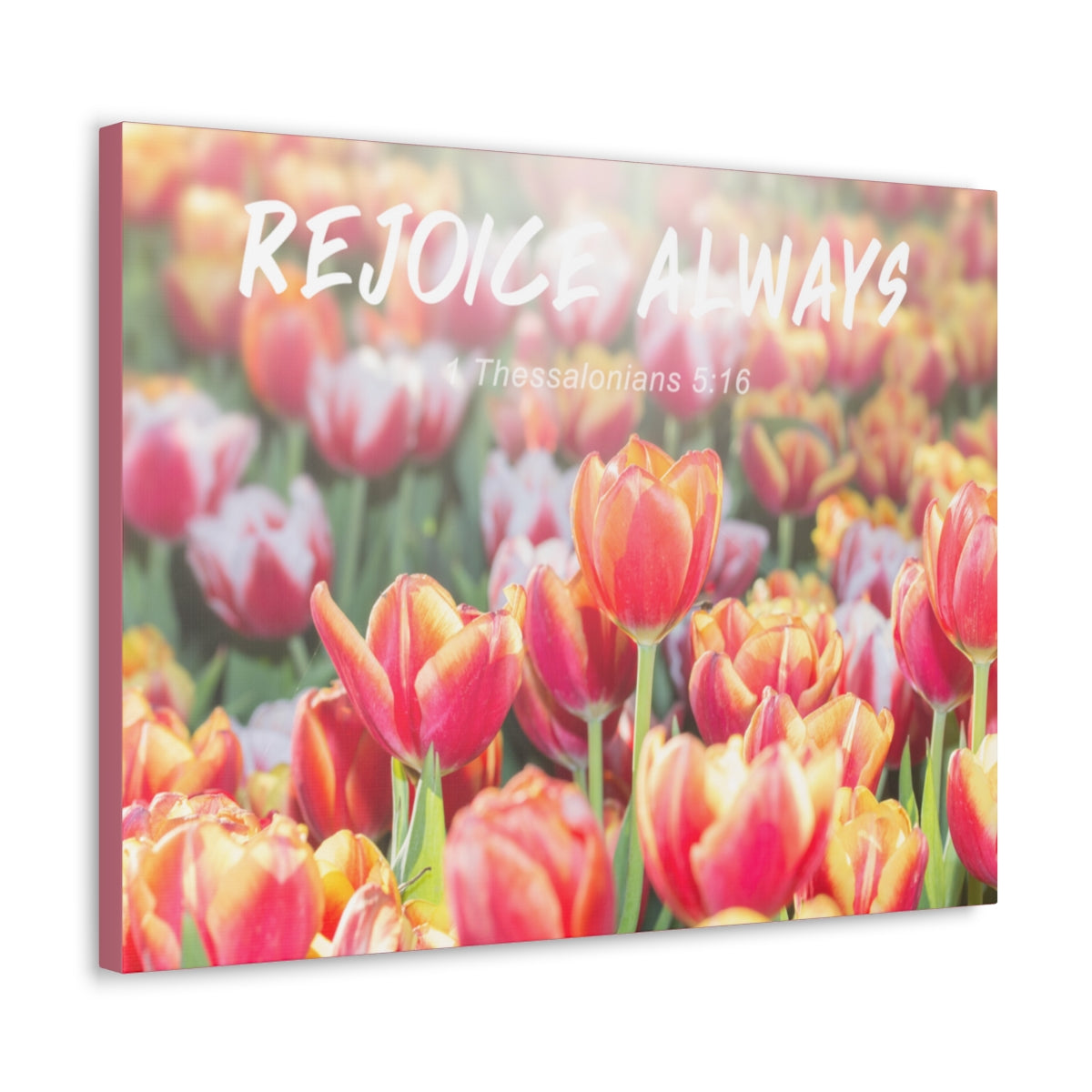 Scripture Walls Rejoice Always 1 Thessalonians 5:16 Bible Verse Canvas Christian Wall Art Bible Verse Print Ready To Hang Unframed-Express Your Love Gifts