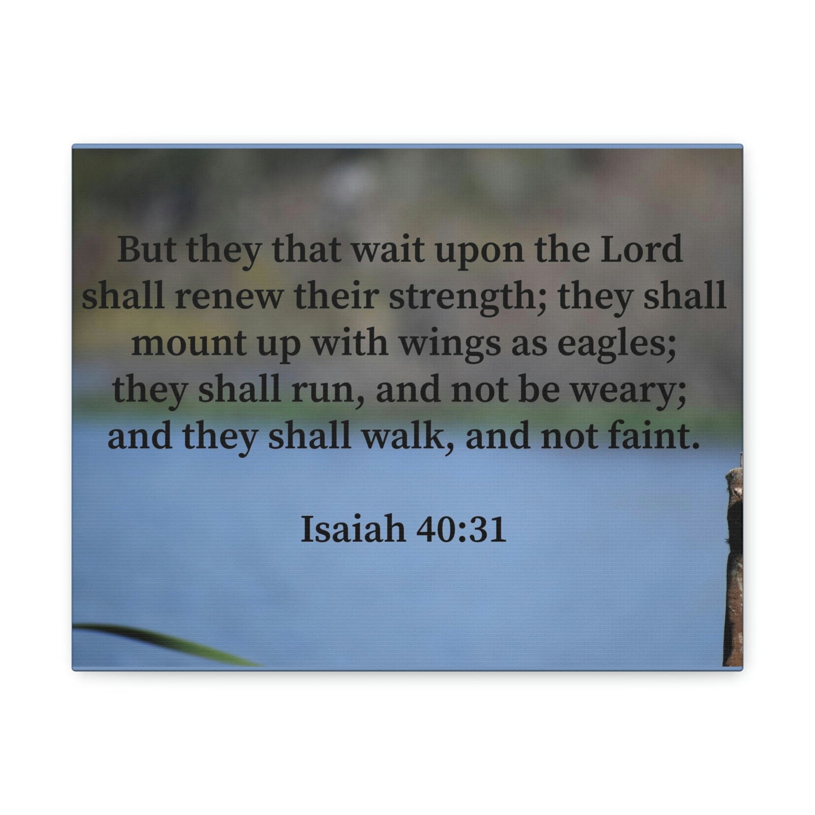 Scripture Walls Renew Their Strength Isaiah 40:31 Christian Wall Art Bible Verse Print Ready to Hang Unframed-Express Your Love Gifts
