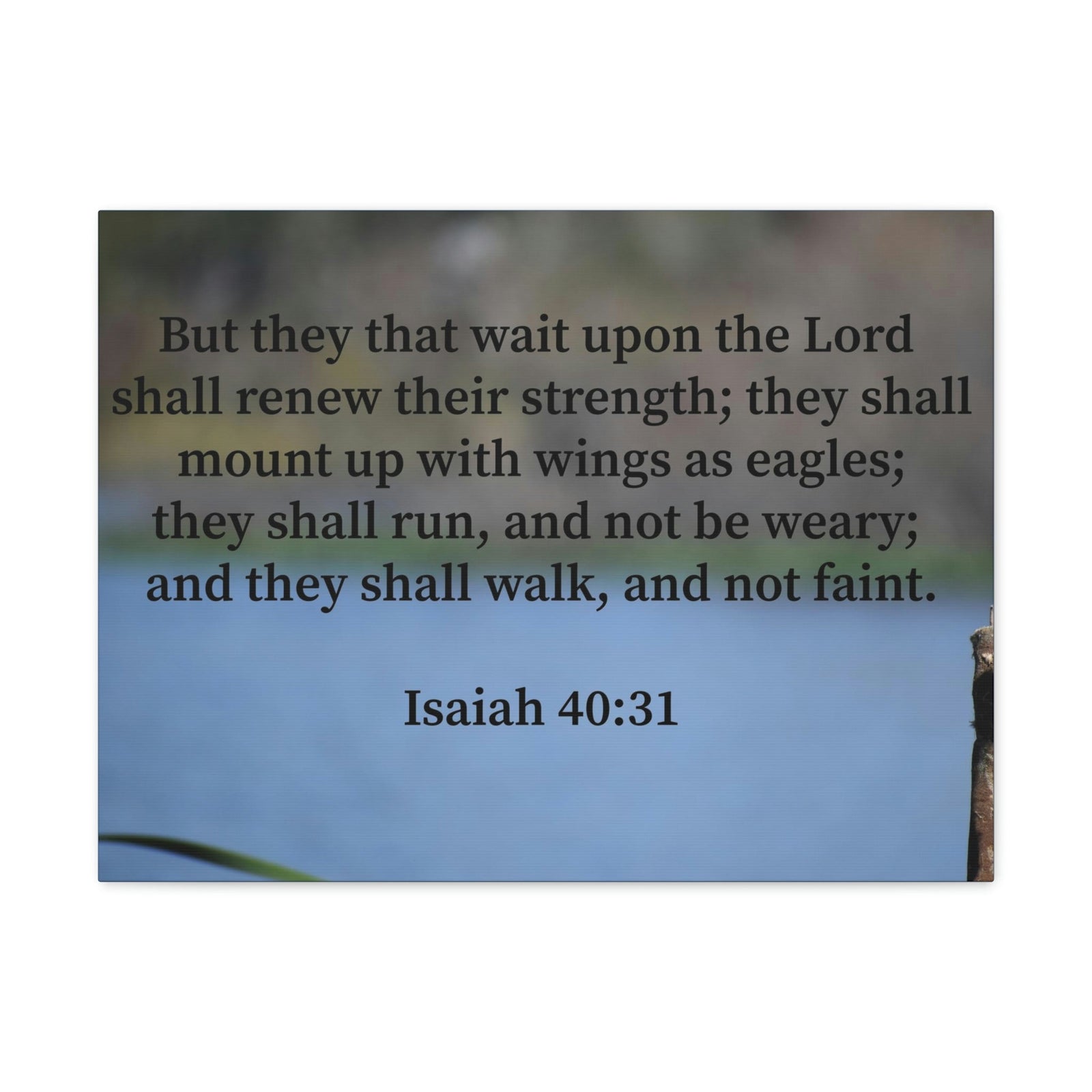 Scripture Walls Renew Their Strength Isaiah 40:31 Christian Wall Art Bible Verse Print Ready to Hang Unframed-Express Your Love Gifts