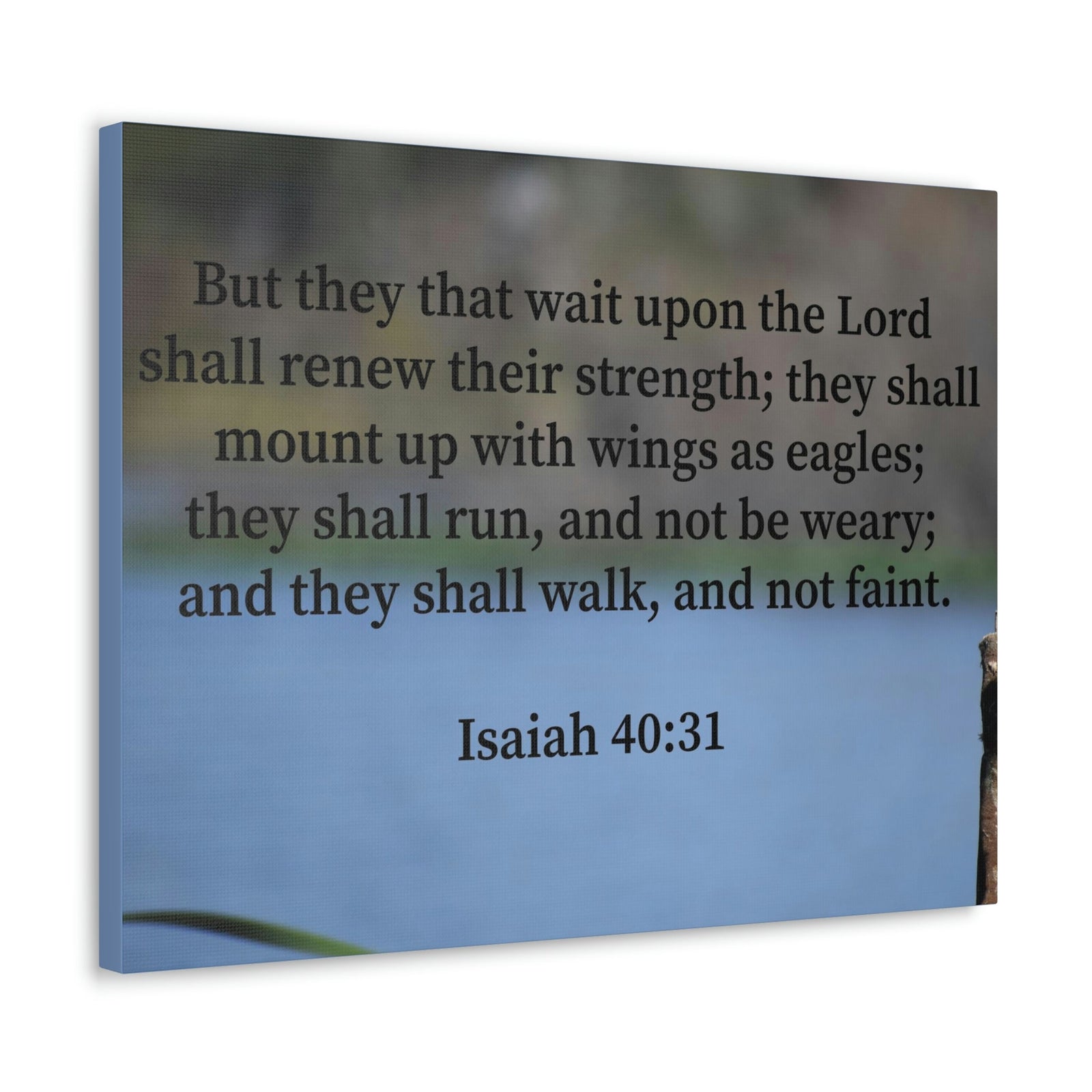 Scripture Walls Renew Their Strength Isaiah 40:31 Christian Wall Art Bible Verse Print Ready to Hang Unframed-Express Your Love Gifts