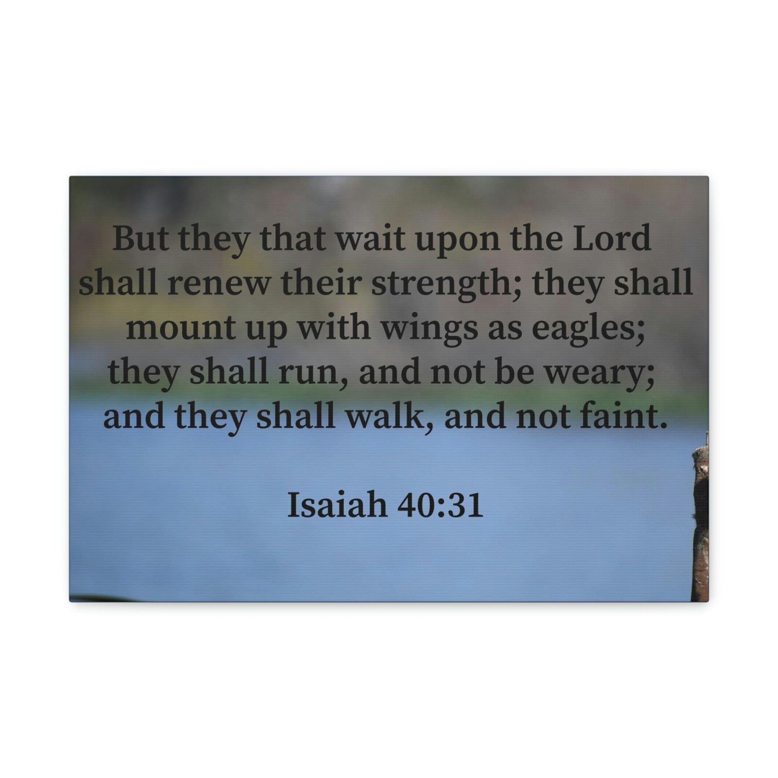 Scripture Walls Renew Their Strength Isaiah 40:31 Christian Wall Art Bible Verse Print Ready to Hang Unframed-Express Your Love Gifts