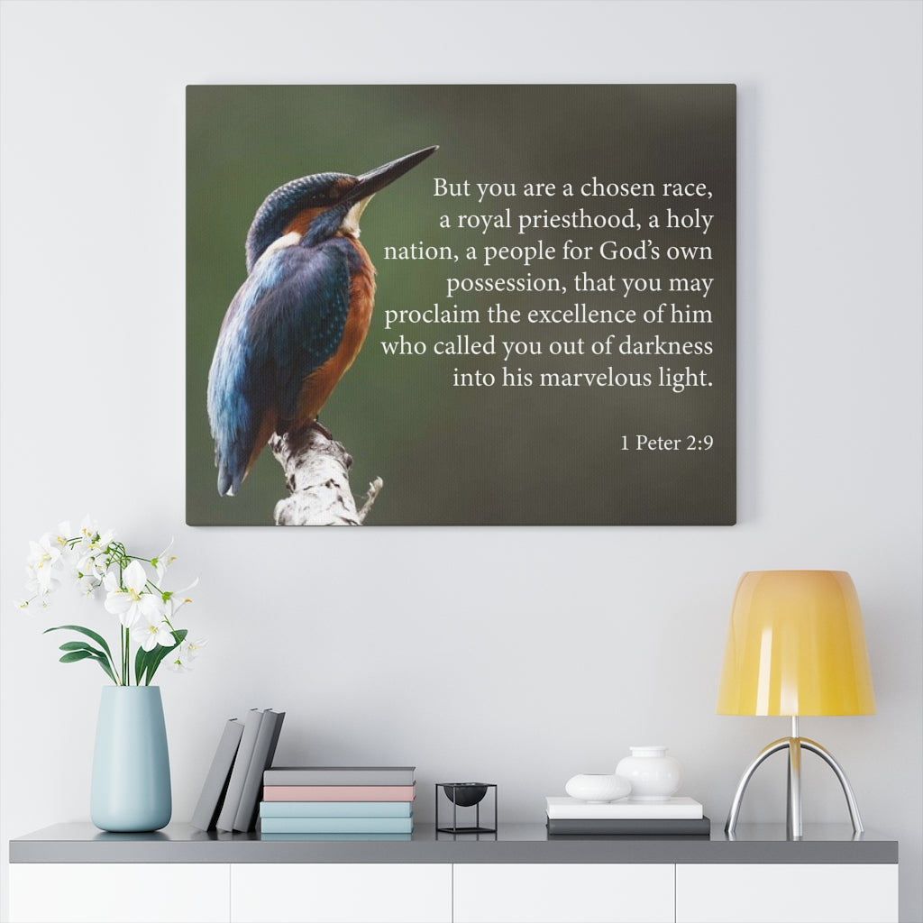 Scripture Walls Royal Priesthood 1 Peter 2:9 Bible Verse Canvas Christian Wall Art Ready to Hang Unframed-Express Your Love Gifts