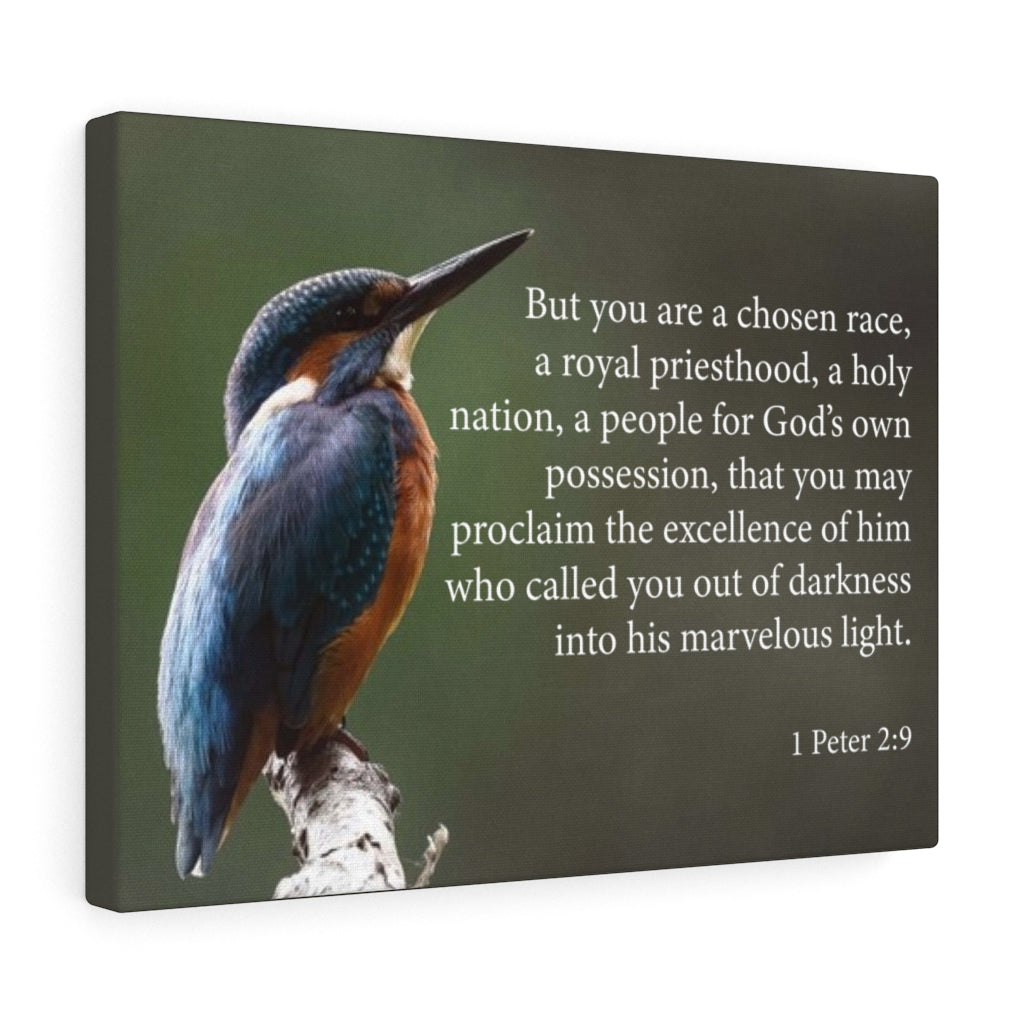 Scripture Walls Royal Priesthood 1 Peter 2:9 Bible Verse Canvas Christian Wall Art Ready to Hang Unframed-Express Your Love Gifts