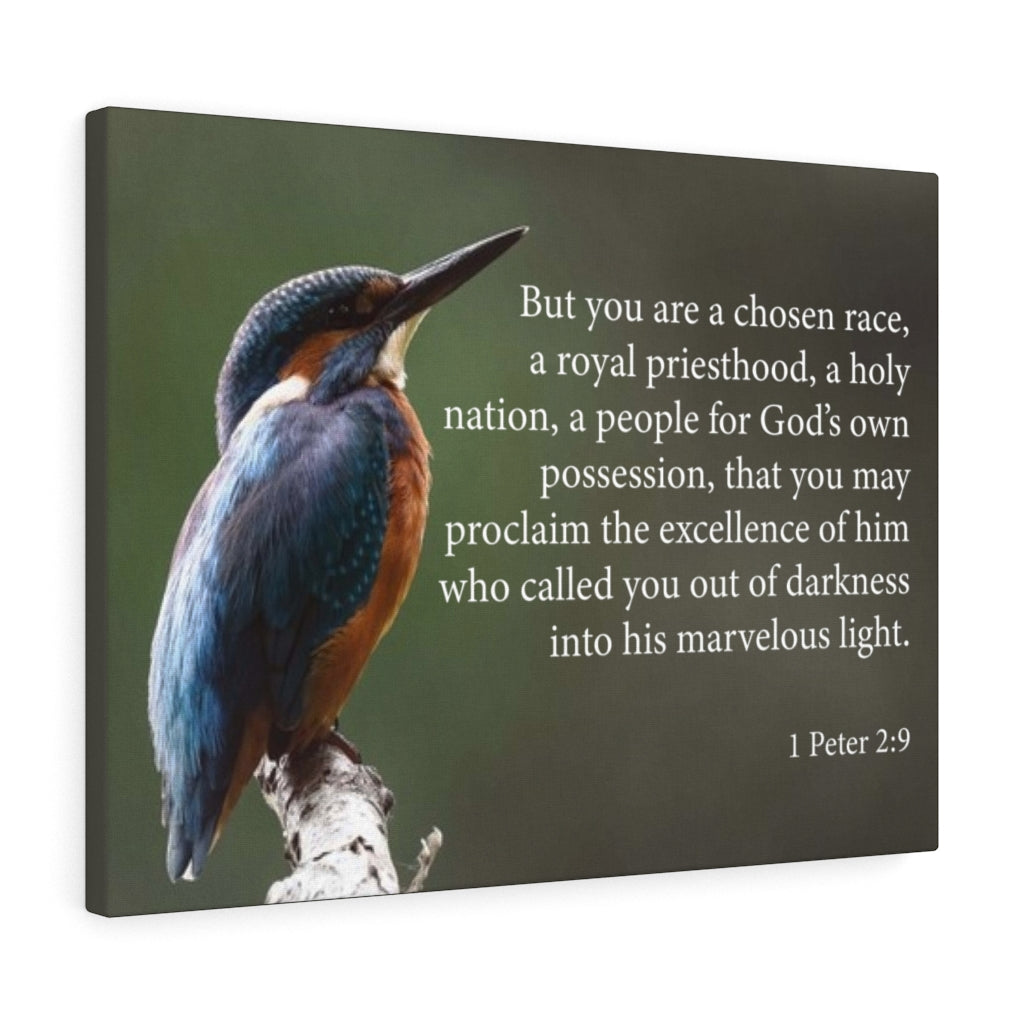 Scripture Walls Royal Priesthood 1 Peter 2:9 Bible Verse Canvas Christian Wall Art Ready to Hang Unframed-Express Your Love Gifts
