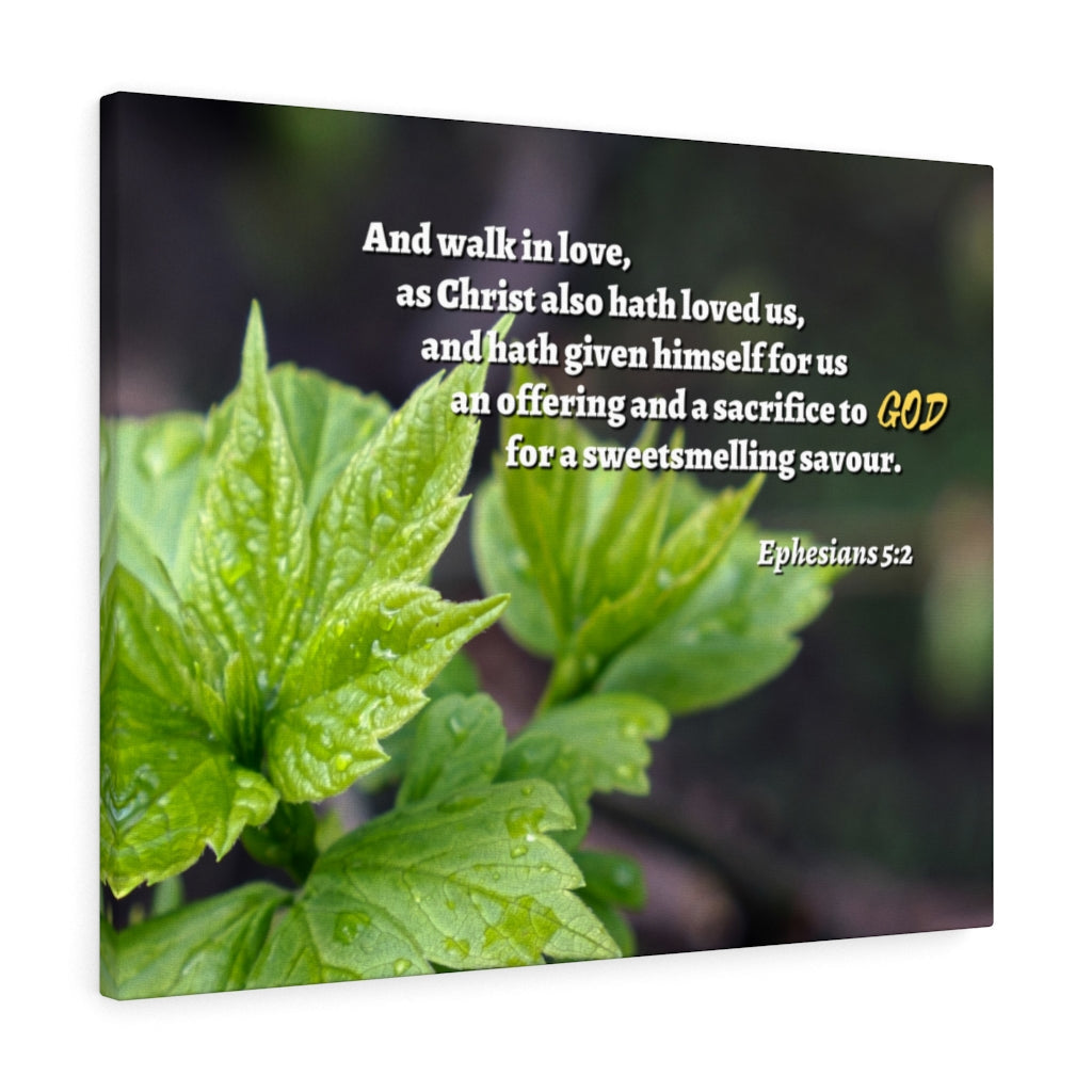 Scripture Walls Sacrifice To God Ephesians 5:2 Bible Verse Canvas Christian Wall Art Ready to Hang Unframed-Express Your Love Gifts
