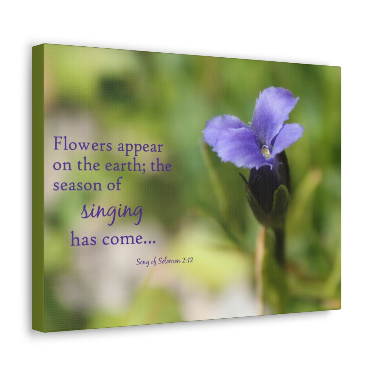 Scripture Walls Season Of Singing Song Of Solomon 2:12 Bible Verse Canvas Christian Wall Art Bible Verse Print Ready To Hang Unframed-Express Your Love Gifts