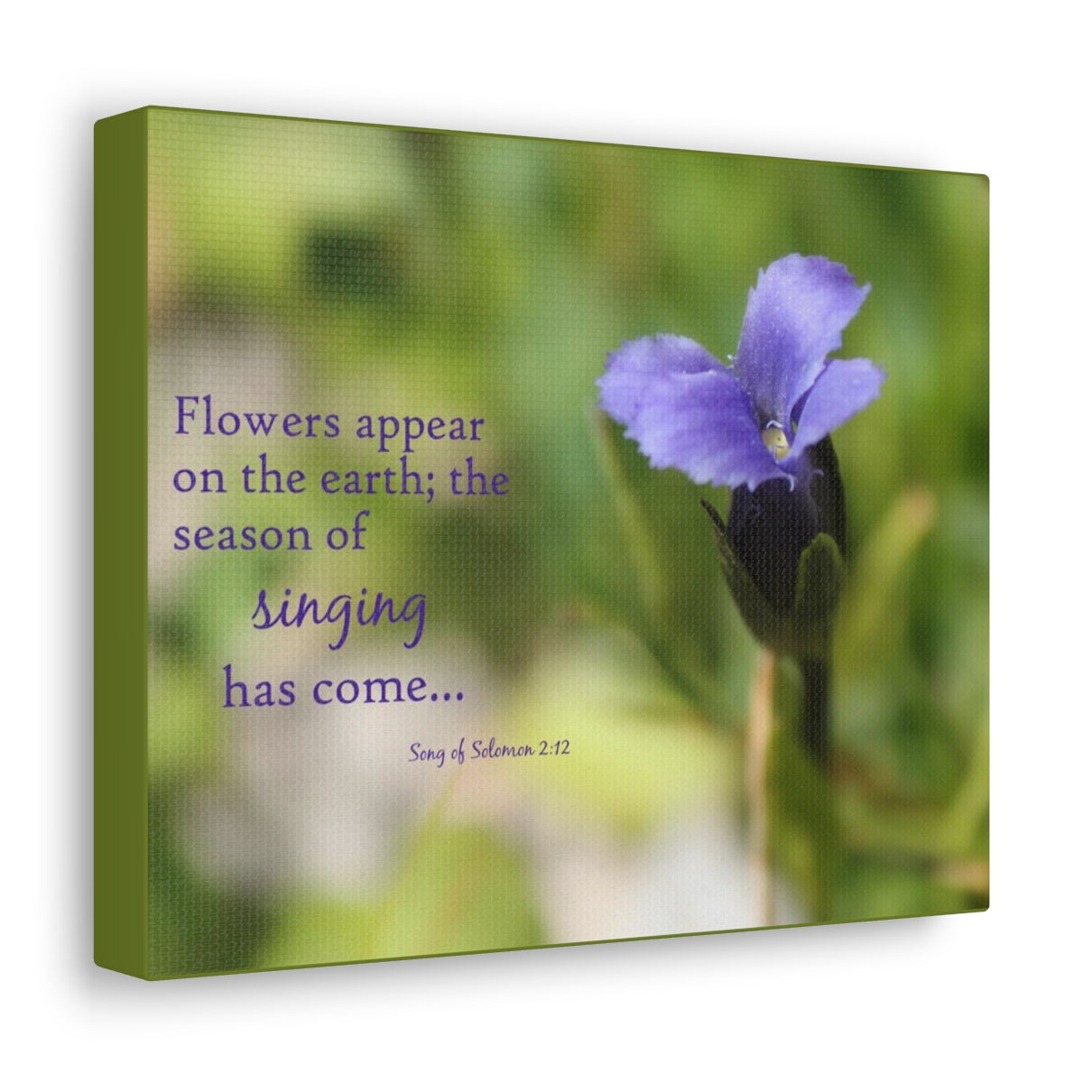 Scripture Walls Season Of Singing Song Of Solomon 2:12 Bible Verse Canvas Christian Wall Art Bible Verse Print Ready To Hang Unframed-Express Your Love Gifts