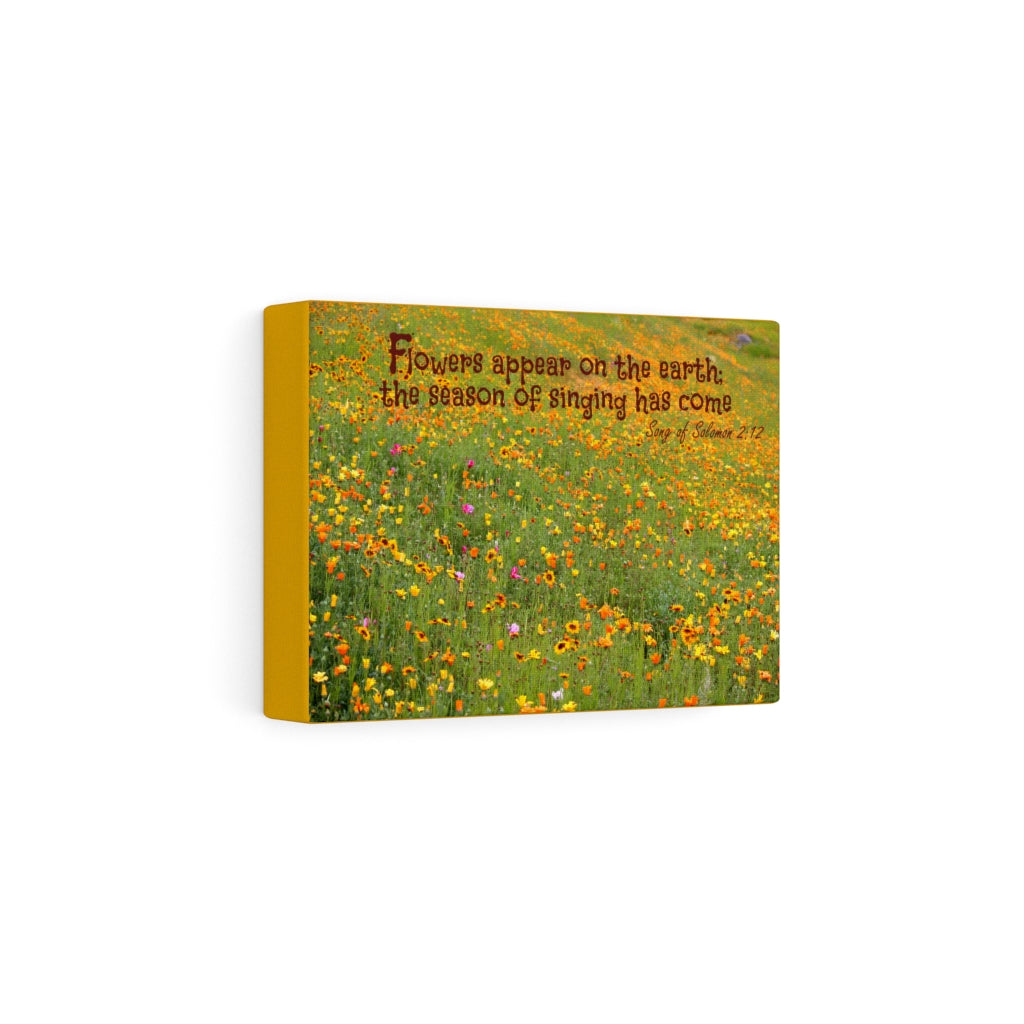 Scripture Walls Season Of Singing Song Of Solomon 2:12 Bible Verse Canvas Christian Wall Art Ready to Hang Unframed-Express Your Love Gifts