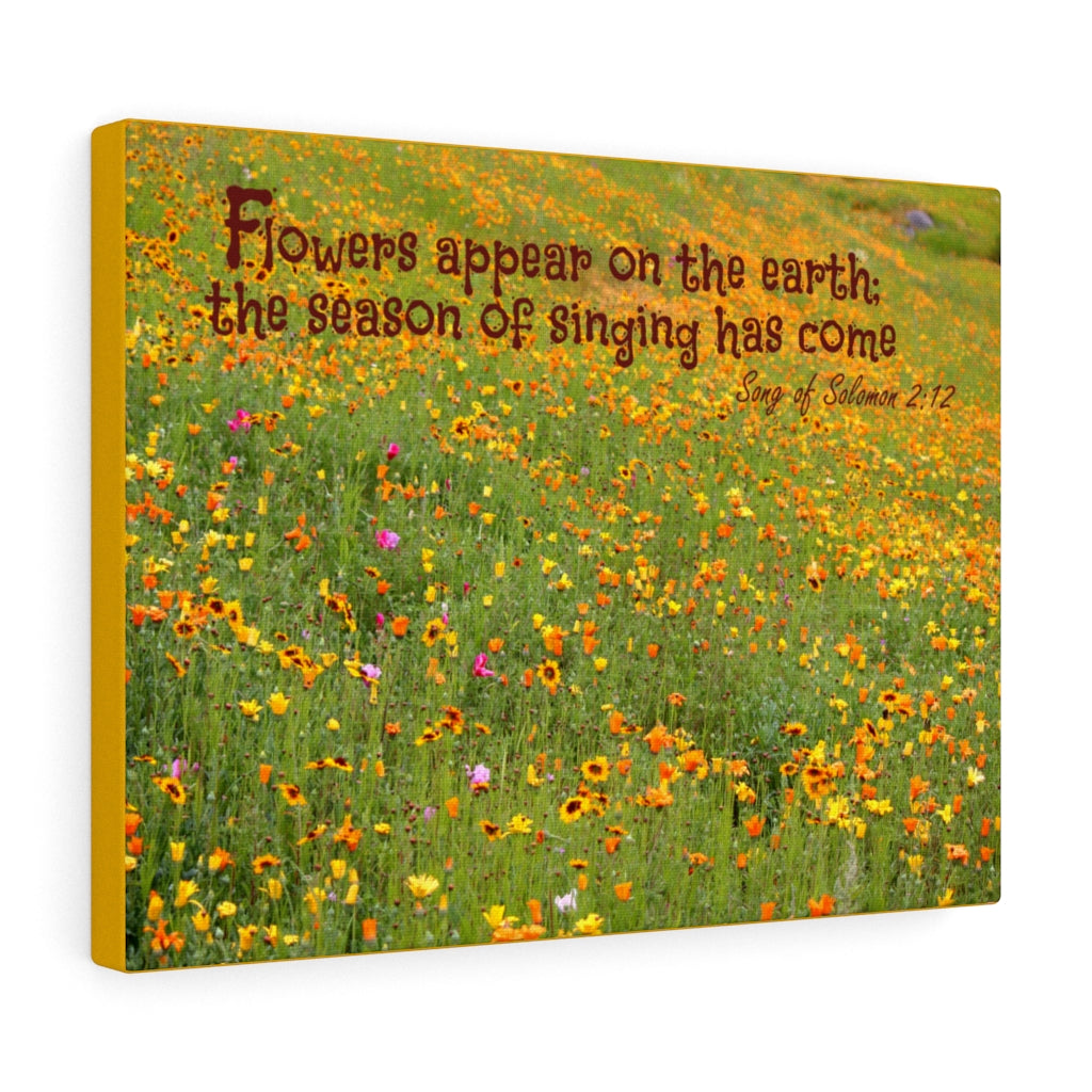 Scripture Walls Season Of Singing Song Of Solomon 2:12 Bible Verse Canvas Christian Wall Art Ready to Hang Unframed-Express Your Love Gifts