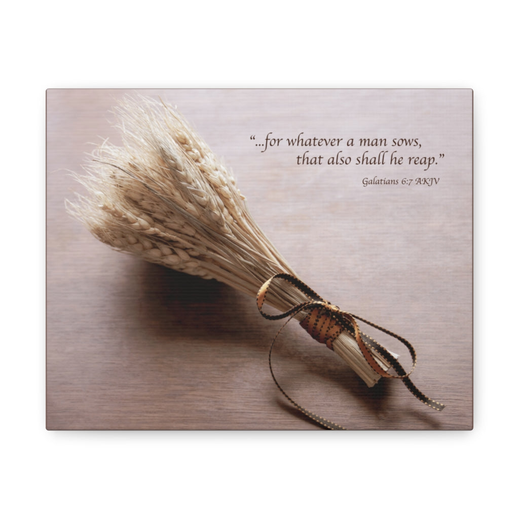 Scripture Walls Shall He Reap Galatians 6:7 Bible Verse Canvas Christian Wall Art Ready to Hang Unframed-Express Your Love Gifts