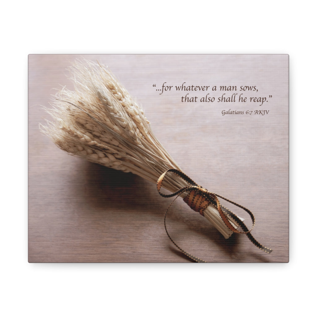 Scripture Walls Shall He Reap Galatians 6:7 Bible Verse Canvas Christian Wall Art Ready to Hang Unframed-Express Your Love Gifts