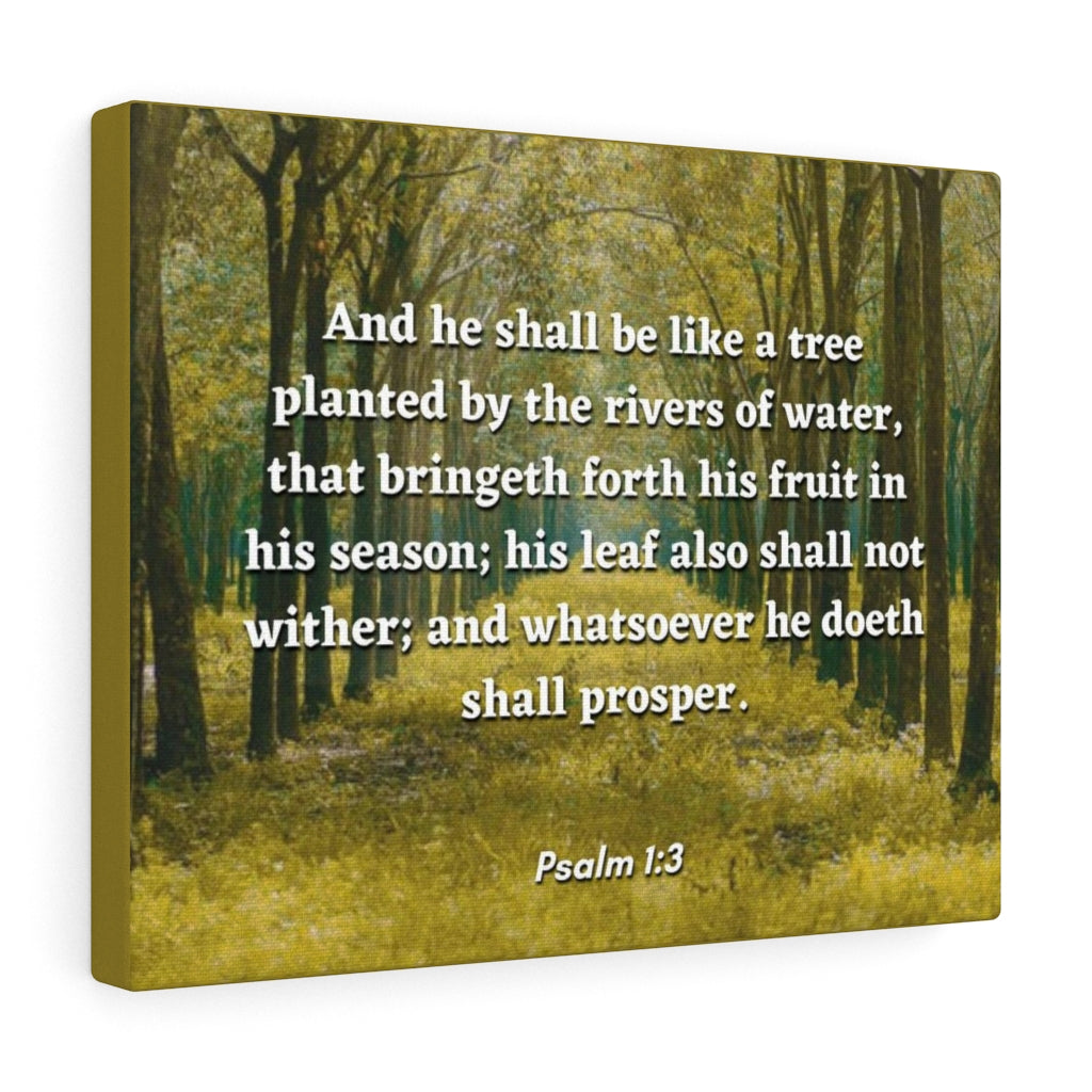 Scripture Walls Shall Prosper Psalms 1:3 Bible Verse Canvas Christian Wall Art Ready to Hang Unframed-Express Your Love Gifts