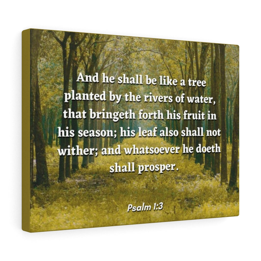 Scripture Walls Shall Prosper Psalms 1:3 Bible Verse Canvas Christian Wall Art Ready to Hang Unframed-Express Your Love Gifts
