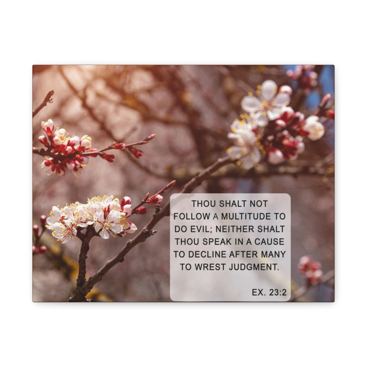 Scripture Walls Shalt Not Follow Exodus 23:2 Bible Verse Canvas Christian Wall Art Bible Verse Print Ready To Hang Unframed-Express Your Love Gifts