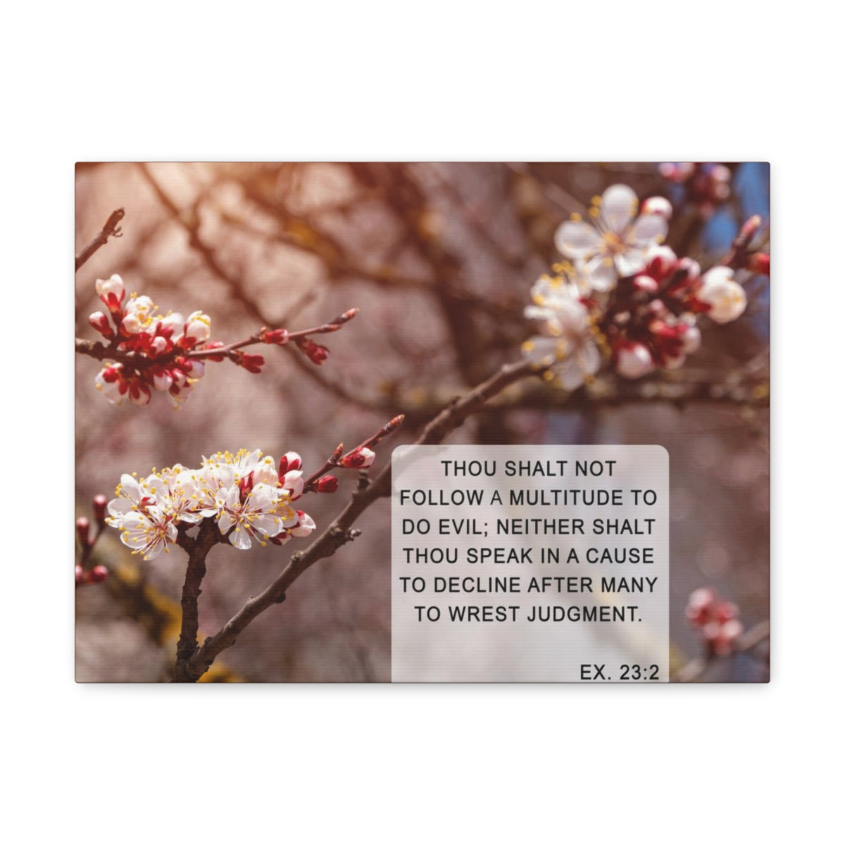 Scripture Walls Shalt Not Follow Exodus 23:2 Bible Verse Canvas Christian Wall Art Bible Verse Print Ready To Hang Unframed-Express Your Love Gifts