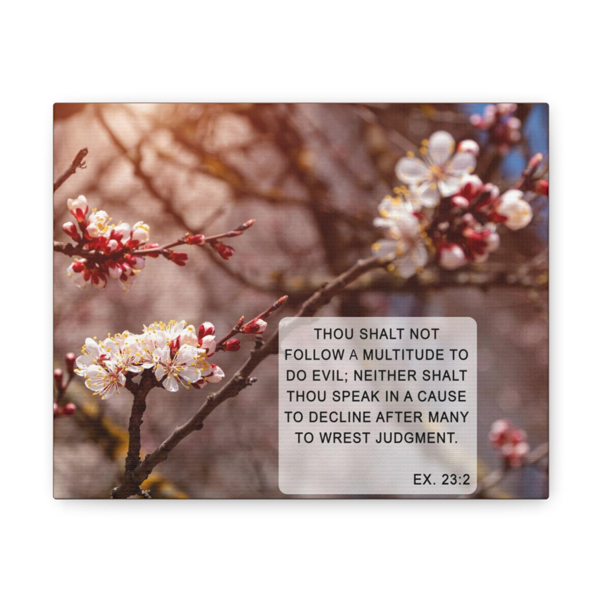 Scripture Walls Shalt Not Follow Exodus 23:2 Bible Verse Canvas Christian Wall Art Bible Verse Print Ready To Hang Unframed-Express Your Love Gifts