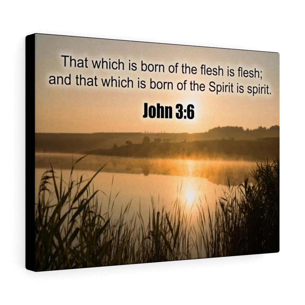 Scripture Walls Spirit is Spirit John 3:6 Bible Verse Canvas Christian Wall Art Ready to Hang Unframed-Express Your Love Gifts