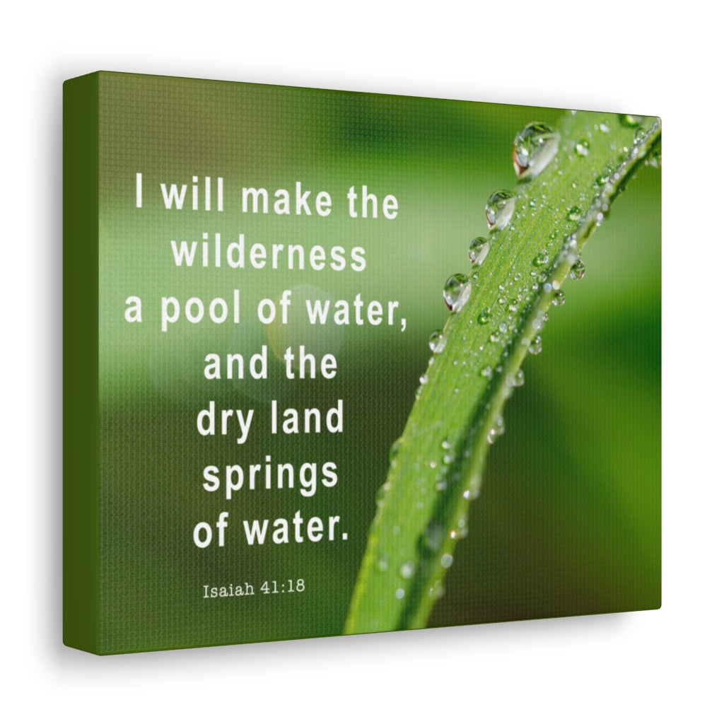 Scripture Walls Springs Of Water Isaiah 41:18 Bible Verse Canvas Christian Wall Art Ready to Hang Unframed-Express Your Love Gifts