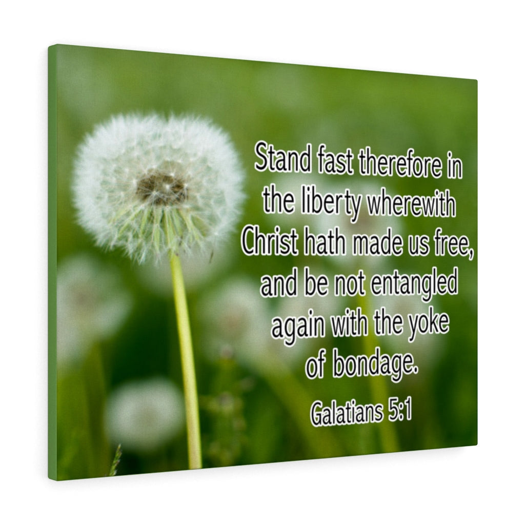 Scripture Walls Stand Fast Galatians 5:1 Bible Verse Canvas Christian Wall Art Ready to Hang Unframed-Express Your Love Gifts
