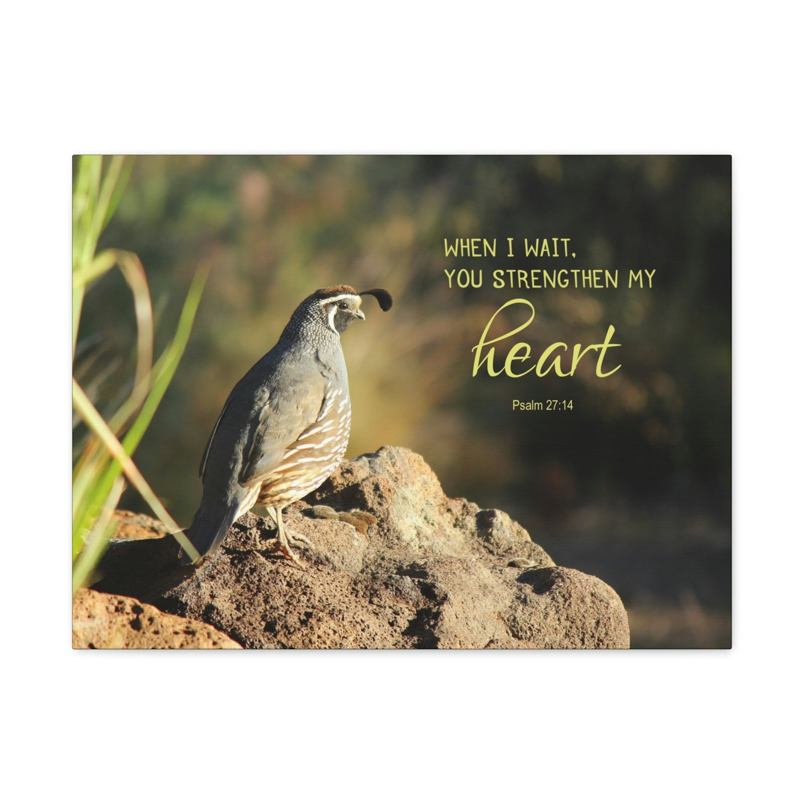 Scripture Walls Strengthen My Heart Psalm 27:14 Bird Bible Verse Canvas Christian Wall Art Ready to Hang Unframed-Express Your Love Gifts