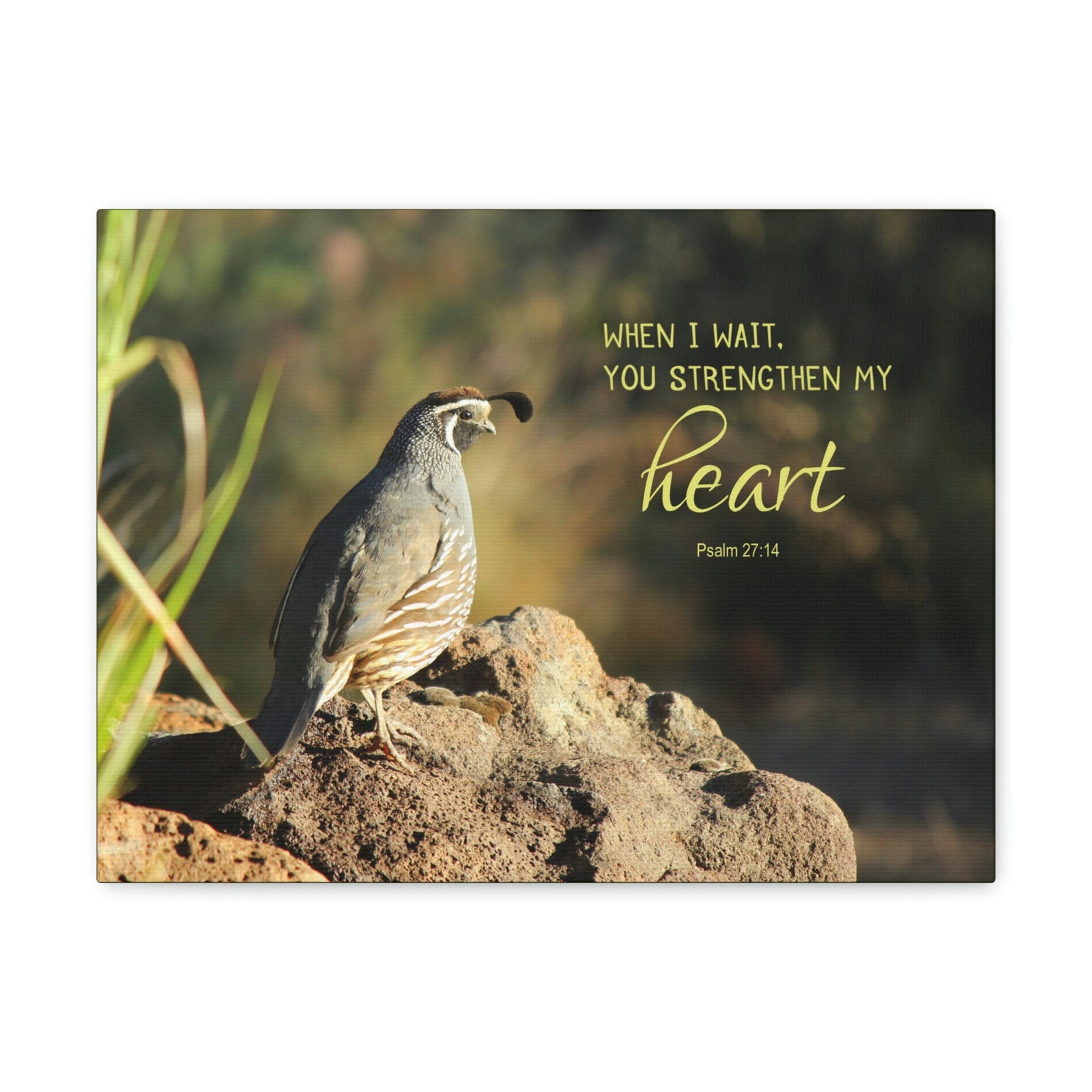 Scripture Walls Strengthen My Heart Psalm 27:14 Bird Bible Verse Canvas Christian Wall Art Ready to Hang Unframed-Express Your Love Gifts