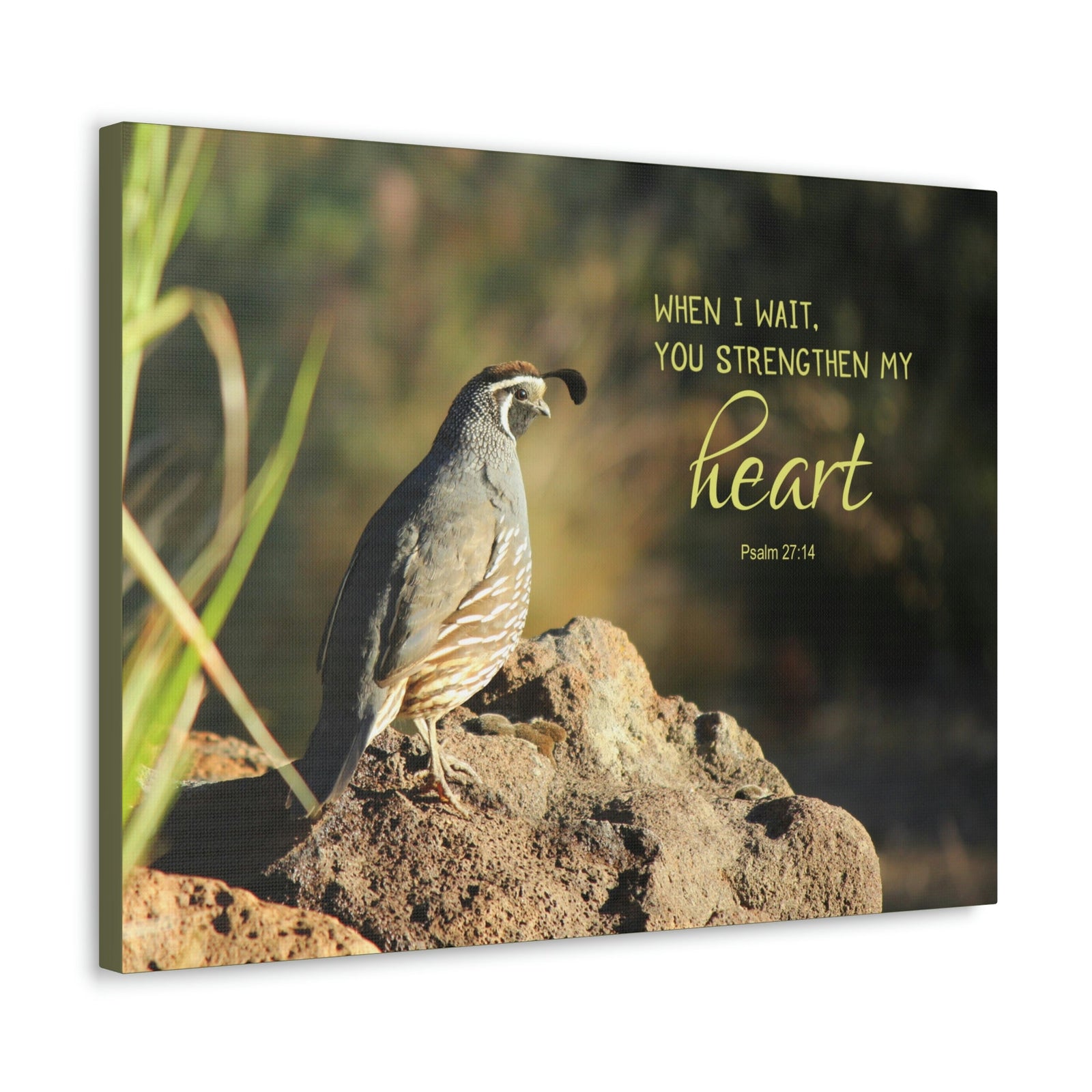 Scripture Walls Strengthen My Heart Psalm 27:14 Bird Bible Verse Canvas Christian Wall Art Ready to Hang Unframed-Express Your Love Gifts