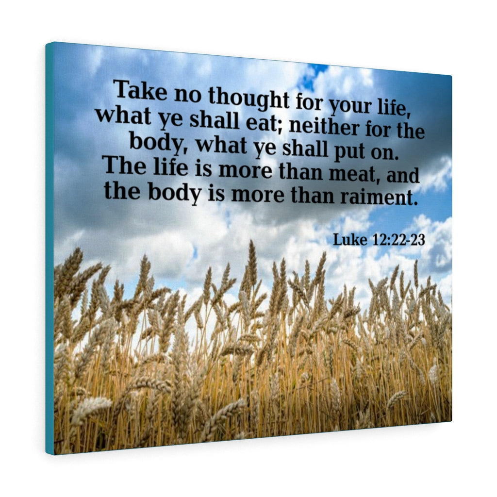 Scripture Walls Take No Thought Luke 12:22-23 Wall Art Christian Home Decor Unframed-Express Your Love Gifts