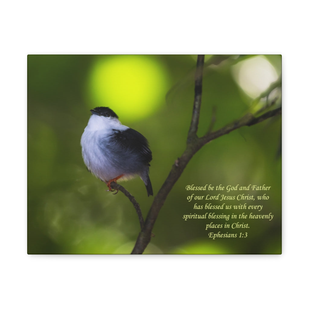 Scripture Walls The God And The Father Ephesians 1:3 Bible Verse Canvas Christian Wall Art Ready to Hang Unframed-Express Your Love Gifts