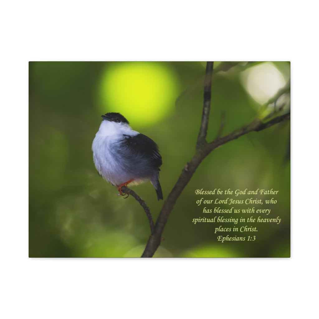 Scripture Walls The God And The Father Ephesians 1:3 Bible Verse Canvas Christian Wall Art Ready to Hang Unframed-Express Your Love Gifts