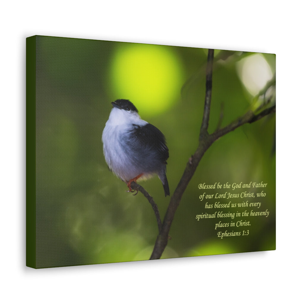 Scripture Walls The God And The Father Ephesians 1:3 Bible Verse Canvas Christian Wall Art Ready to Hang Unframed-Express Your Love Gifts