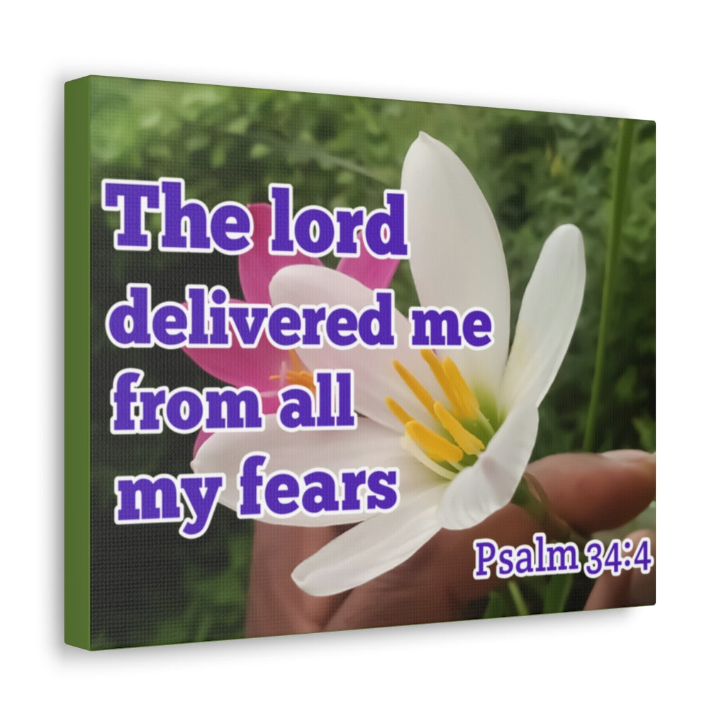 Scripture Walls The Lord Delivered Me Psalm 34:4 Bible Verse Canvas Christian Wall Art Ready to Hang Unframed-Express Your Love Gifts