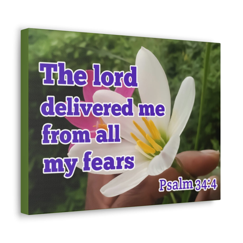 Scripture Walls The Lord Delivered Me Psalm 34:4 Bible Verse Canvas Christian Wall Art Ready to Hang Unframed-Express Your Love Gifts