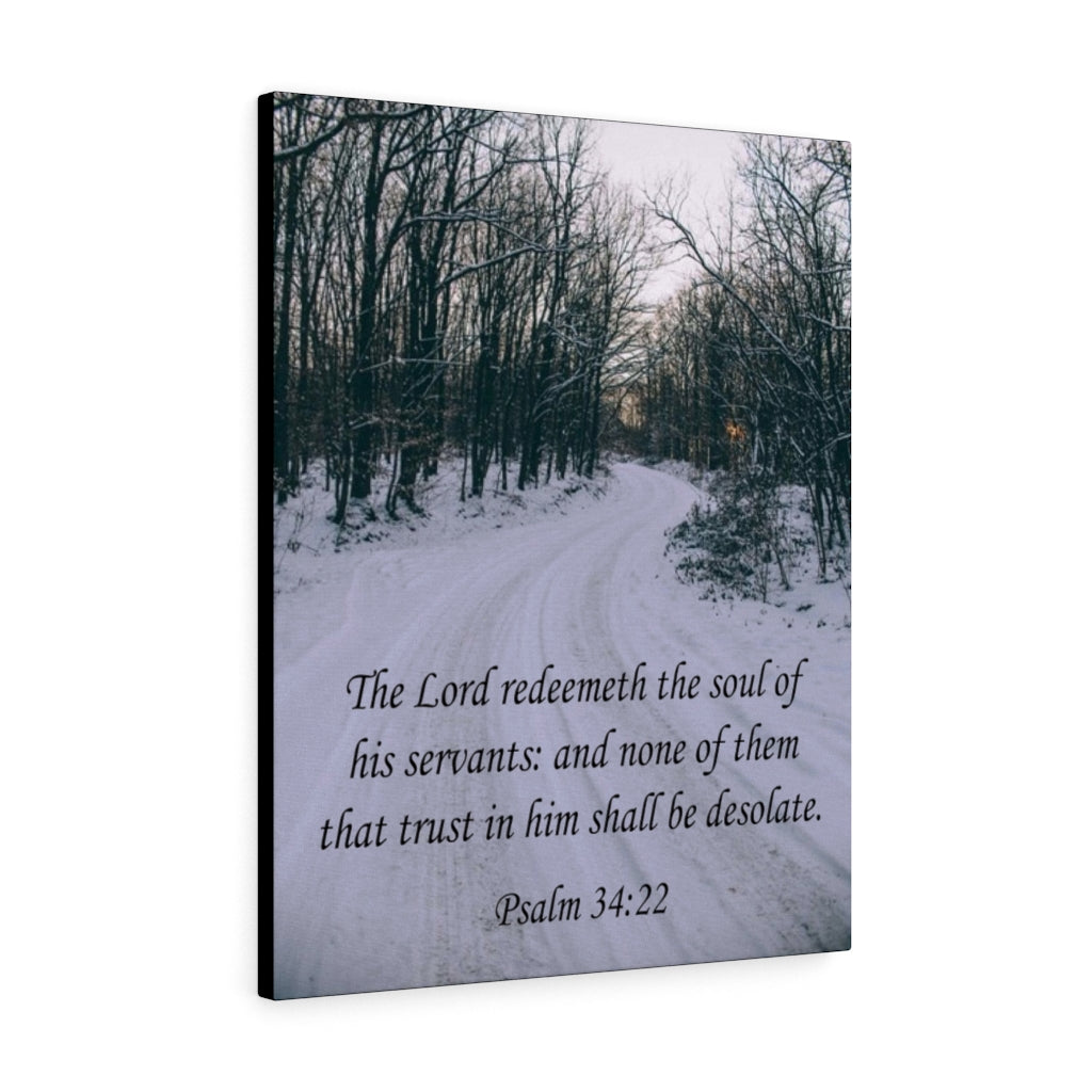 Scripture Walls The Lord Redeemeth The Soul Psalm 34:22 Bible Verse Canvas Christian Wall Art Ready to Hang Unframed-Express Your Love Gifts