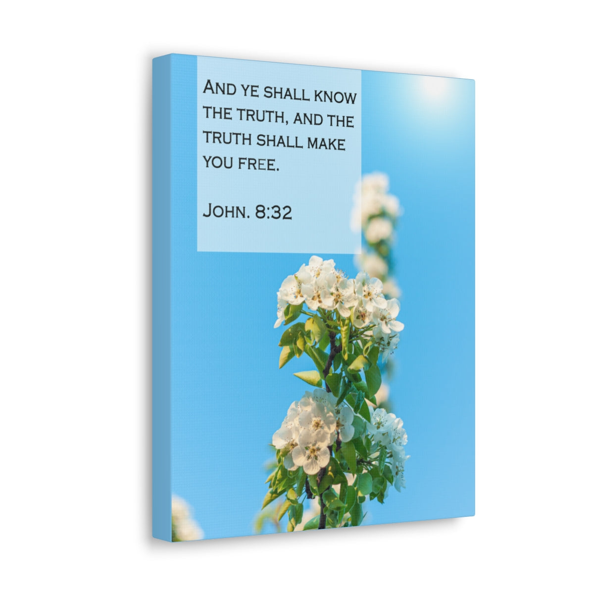 Scripture Walls The Truth Shall Make You Free John 8:32 Bible Verse Canvas Christian Wall Art Bible Verse Print Ready To Hang Unframed-Express Your Love Gifts