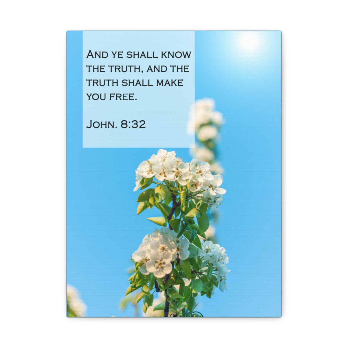 Scripture Walls The Truth Shall Make You Free John 8:32 Bible Verse Canvas Christian Wall Art Bible Verse Print Ready To Hang Unframed-Express Your Love Gifts