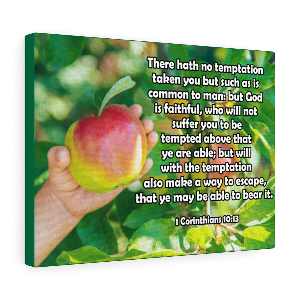 Scripture Walls There Hath No Temptation 1 Corinthians 10:13 Bible Verse Canvas Christian Wall Art Ready to Hang Unframed-Express Your Love Gifts