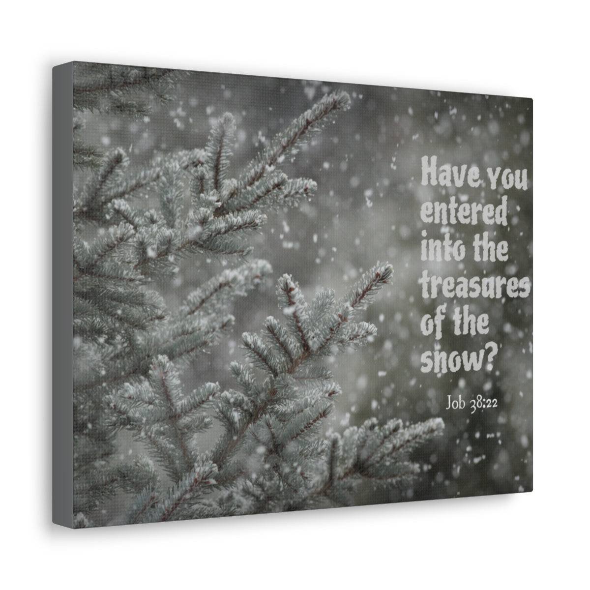 Scripture Walls Treasures Of The Show Job 38:22 Bible Verse Canvas Christian Wall Art Bible Verse Print Ready To Hang Unframed-Express Your Love Gifts