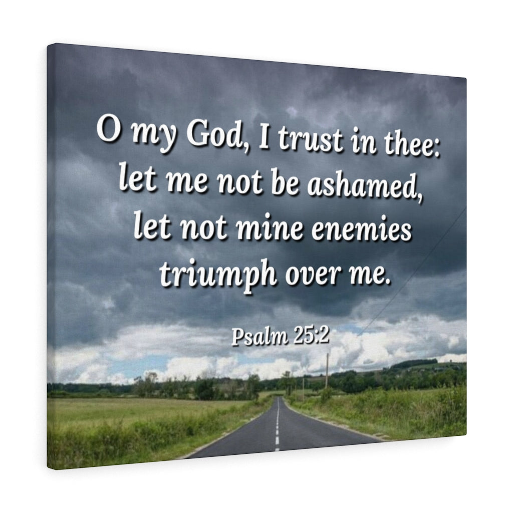 Scripture Walls Triumph Psalm 25:2 Bible Verse Canvas Christian Wall Art Ready to Hang Unframed-Express Your Love Gifts