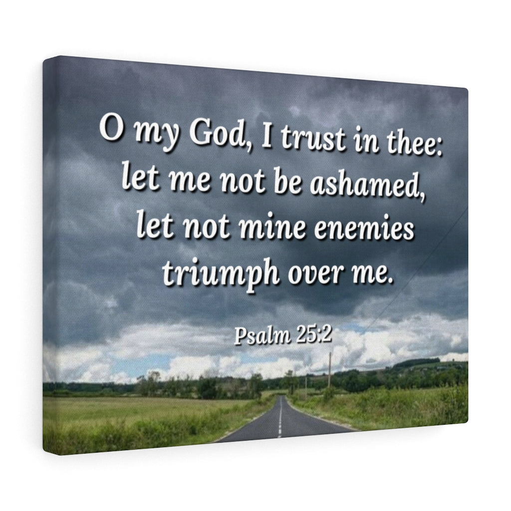 Scripture Walls Triumph Psalm 25:2 Bible Verse Canvas Christian Wall Art Ready to Hang Unframed-Express Your Love Gifts