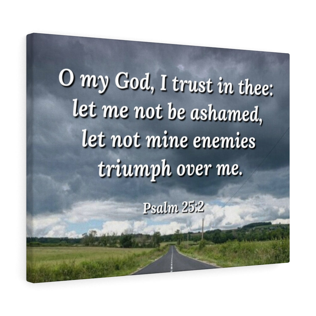 Scripture Walls Triumph Psalm 25:2 Bible Verse Canvas Christian Wall Art Ready to Hang Unframed-Express Your Love Gifts