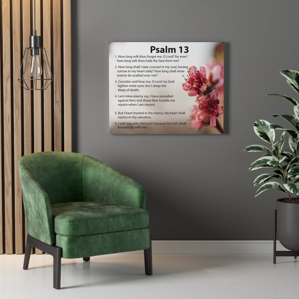 Scripture Walls When God Seems Silent Psalm 13 Bible Verse Canvas Christian Wall Art Ready to Hang Unframed-Express Your Love Gifts